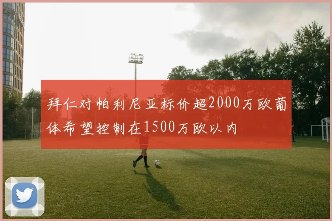拜仁对帕利尼亚标价超2000万欧葡体希望控制在1500万欧以内
