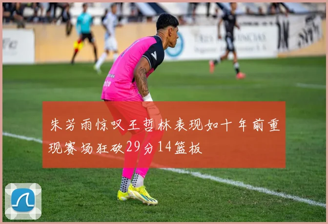 朱芳雨惊叹王哲林表现如十年前重现赛场狂砍29分14篮板